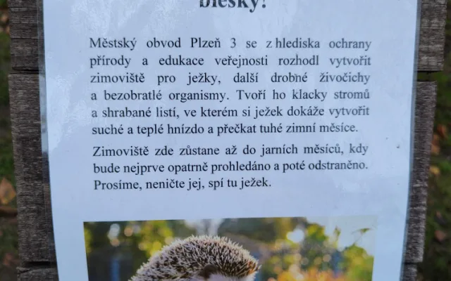 Každý čtvrtý ježek nepřežije zimní období, lidé jim proto zřizují zimoviště z hromádek listí