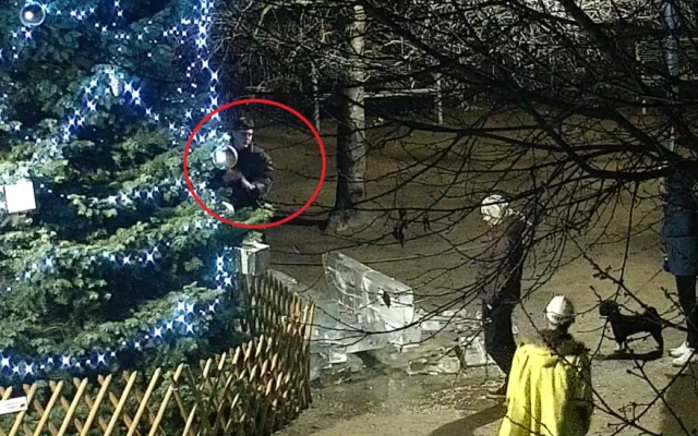 Vandal poničil ledovou sochu za desítky tisíc korun, policie hledá svědky i totožnost výtržníka