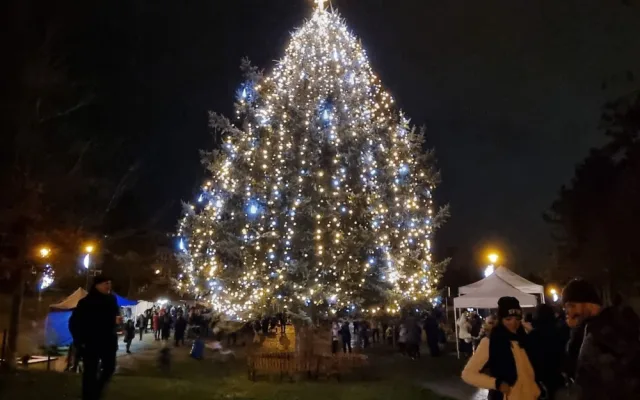 MO Plzeň 1, parku U Bazénu na Lochotíně, foto: MO Plzeň 1