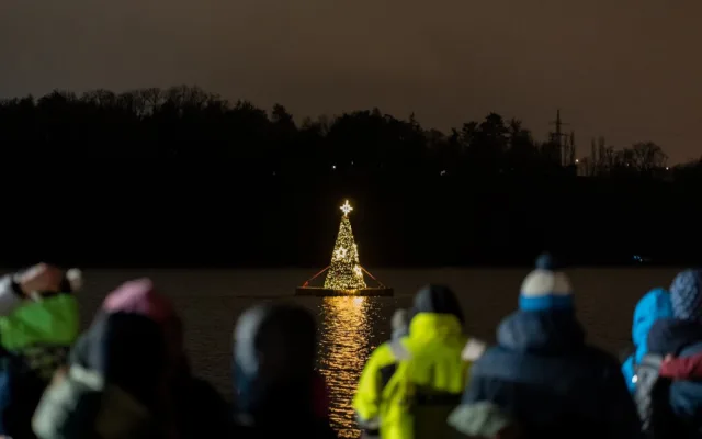 MO Plzeň 3, plující strom na Borské přehradě, foto: MO Plzeň 3