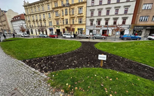 Chodci devastují záhony se zasazenými cibulovinami opatřené cedulemi zakazující vstup. Hlínou prošla i žena na vysokých podpatcích