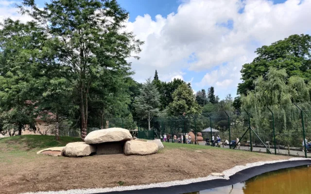 Zoo Plzeň letos otevřela zmodernizovaný a přebudovaný výběh pro lvy berberské