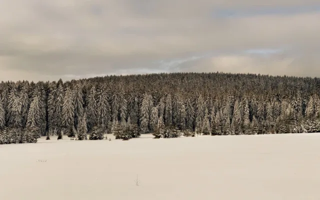 Vznikl nový geopark Královská Šumava, vymezují ho Kašperské Hory, Železná Ruda a Čachrov
