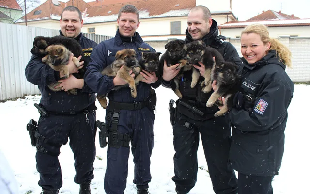 Práce je koníčkem, psí parťáci jsou členové rodiny a jsou schopni položit za policisty život