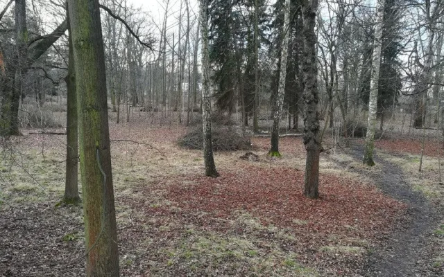 Nevyužívaná část parku se stala útočištěm pro bezdomovce a narkomany, město ho chce obnovit