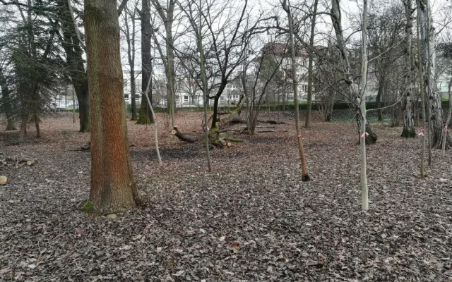 Nevyužívaná část parku se stala útočištěm pro bezdomovce a narkomany, město ho chce obnovit