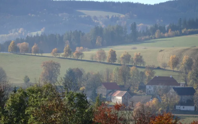 Stromořadí Hlavňovice k Suché, foto: Marta Netrvalová.