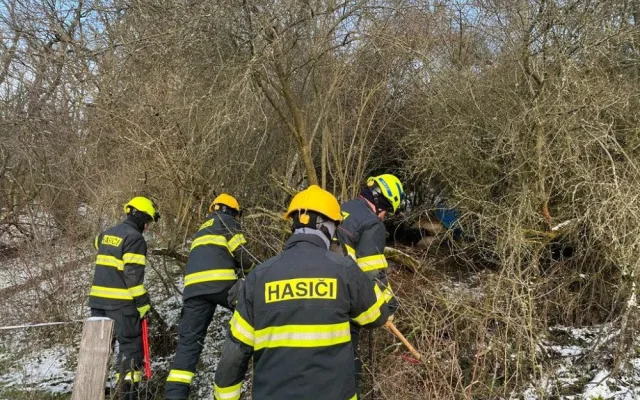 Divoký kůň uvízl v těžko přístupném terénu, hasiči hodiny bojovali o jeho záchranu