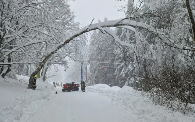 Hasiči odstraňují padlý strom na Hofmankách u šumavského Špičáku