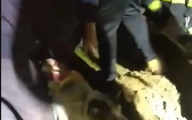 Fenka Kira se dostala pod zemí do betonové skruže plné vody a hrozilo jí utonutí. Při záchraně šlo o sekundy