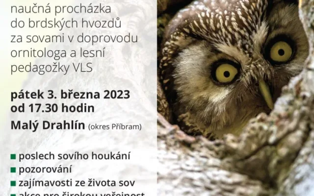 Za houkáním sov se vydá výprava do nočních brdských lesů