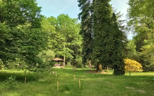 Americká zahrada