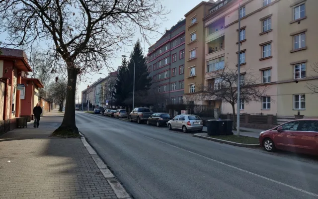 U fakultní nemocnice na Borech vznikne přes 50 parkovacích míst, dojde i na kácení stromů