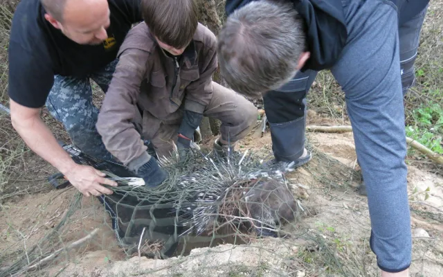 V roce 2017 utekl ze zoo například dikobraz, foto: Záchranná stanice živočichů Plzeň