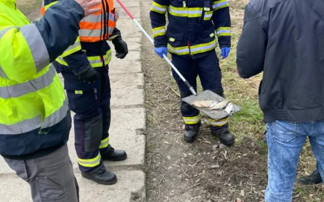 Pod hrází přehrady plavaly desítky mrtvých ryb, odborníci z laboratoře sbírají vzorky vody
