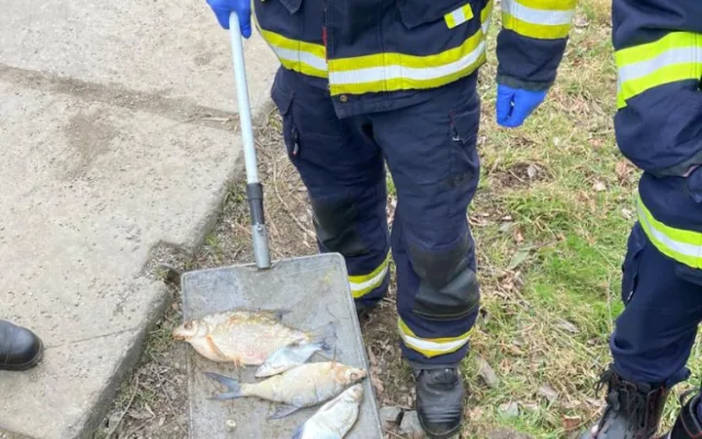 Pod hrází přehrady plavaly desítky mrtvých ryb, odborníci z laboratoře sbírají vzorky vody