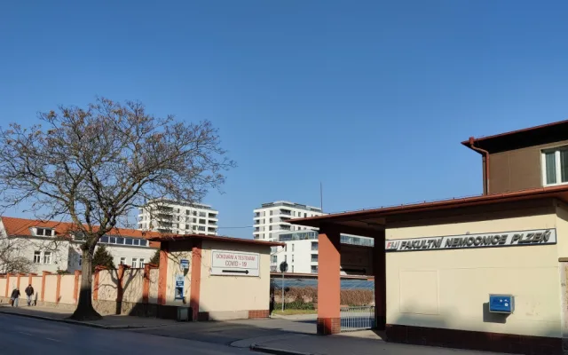 U fakultní nemocnice na Borech začne zítra kácení stromů, musí ustoupit novým parkovacím místům