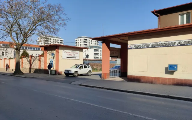 U fakultní nemocnice na Borech začne zítra kácení stromů, musí ustoupit novým parkovacím místům