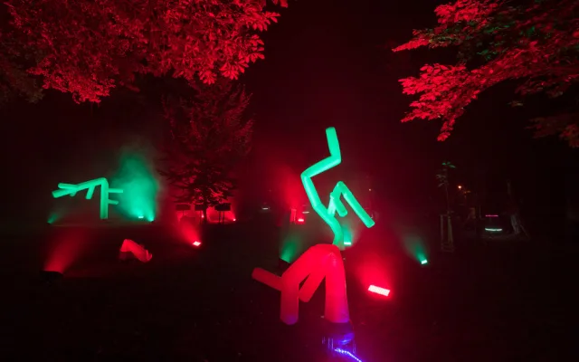 Instalace Živý les od Kateřiny Blahutové, zdroj: Signal Festival