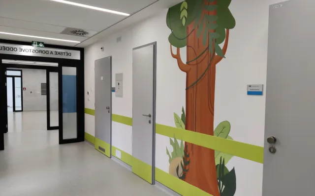 Nový pavilon psychiatrie ve FN Plzeň už rok slouží pacientům, jejich počty stále narůstají