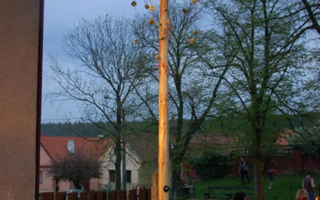 2010