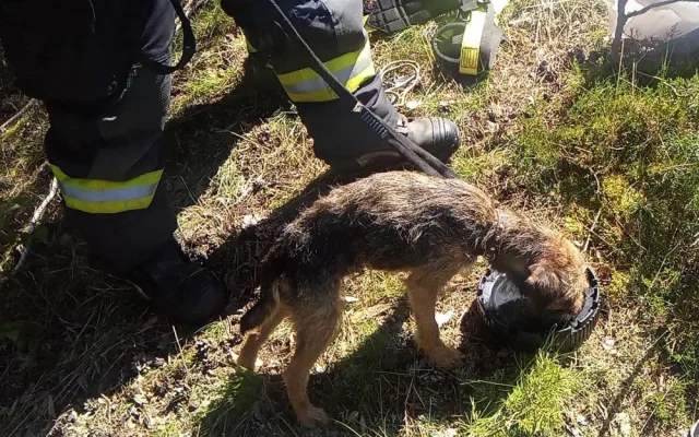 Ztracený pes skoro měsíc přežíval uvězněný ve štole, záchrana přišla čirou náhodou