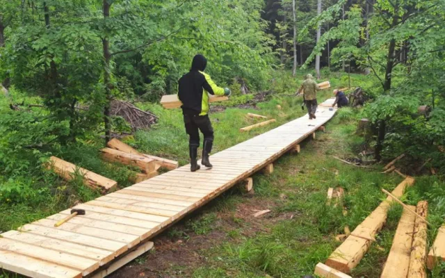 Turisté se díky nové stezce dostanou k Boubínskému jezírku