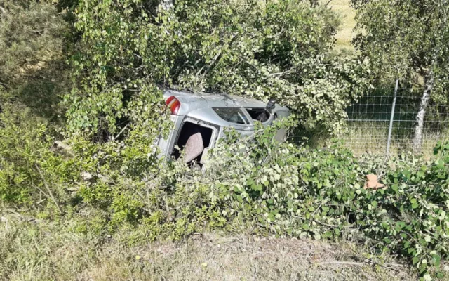 Policisté hledají svědky tragické nehody na D5, při níž zahynul jeden muž a další čtyři se pokusili o útěk