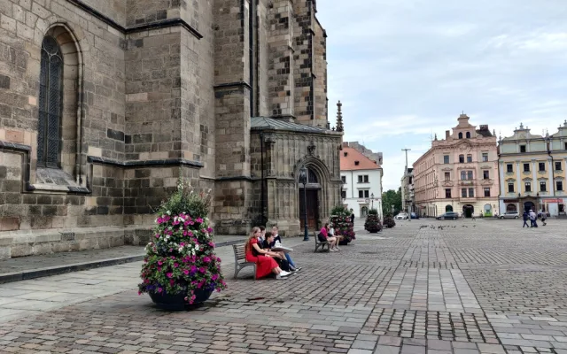 ANKETA: Jak se vám líbí květinová výzdoba na náměstí Republiky?