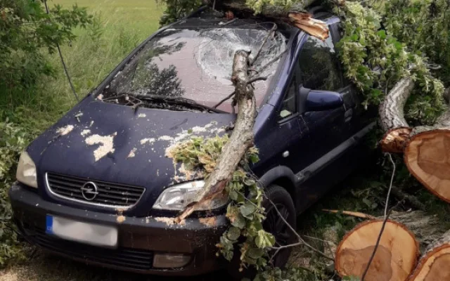 Na Domažlicku padl ve čtvrtek strom na jeden automobil
