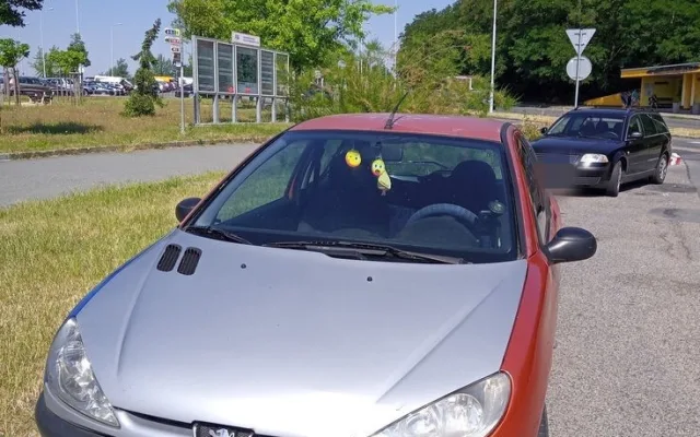 Řidič tohoto vozu zaparkoval na kruhovém objezdu u nemocnice. Za volantem automobilu ale vůbec neměl sedět