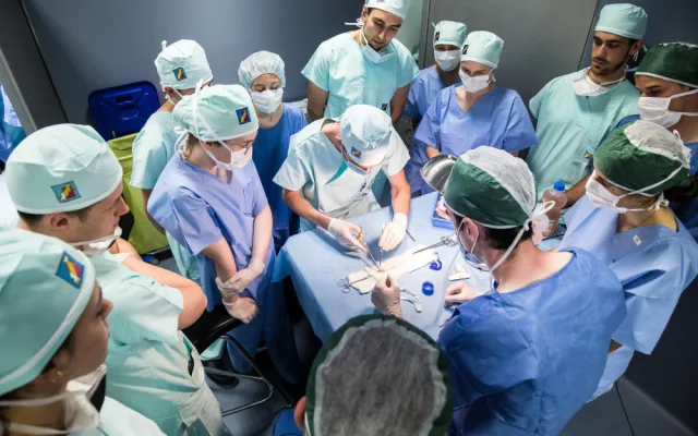 Studenti medicíny operují na škole v Plzni prasata, čtyřnohým pacientům sešívají cévy nebo odstraňují ledvinu