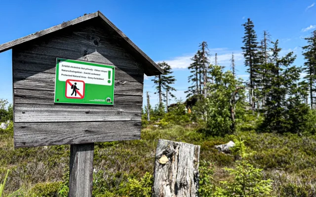 Turisté na Šumavě při sběru lesních plodů vstupují i na přísně zakázaná místa. Riskují tak pokuty v řádech tisíců