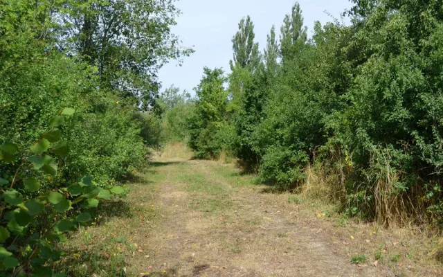 U rokycanského skateparku vyroste nová pumptracková dráha a napojí se na cyklostezku