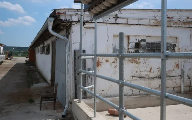 Jiřičky si oblíbily umělá hnízda u kravína, ochránci zvířat jim tam proto nainstalovali další řadovku