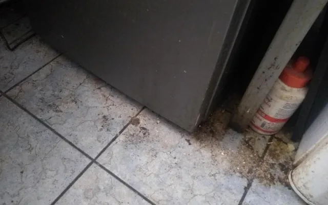 Prostory bistra v době, kdy tam byla na kontrole inspekce