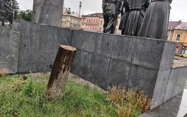Lidé a psi umořili močením lípu, která rostla nad plzeňským památníkem na náměstí T.G.M. Město ji muselo pokácet