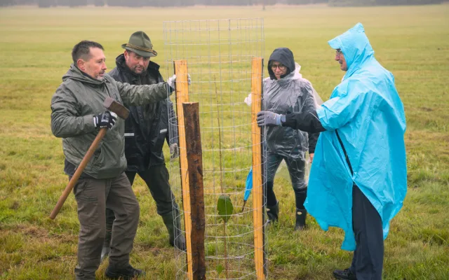 Loňského stromsázení v Brdech se zúčastnily tři tisíce dobrovolníků