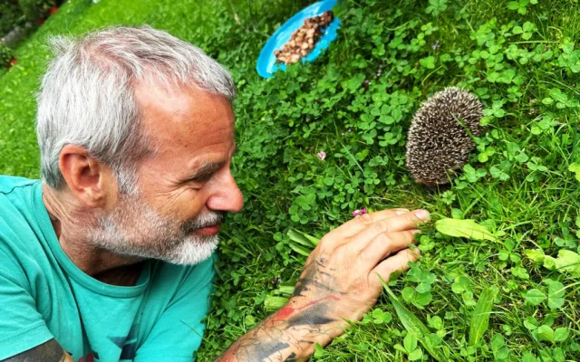 Ježkům se u nás na zahradě líbí a nám se líbí jejich společnost
