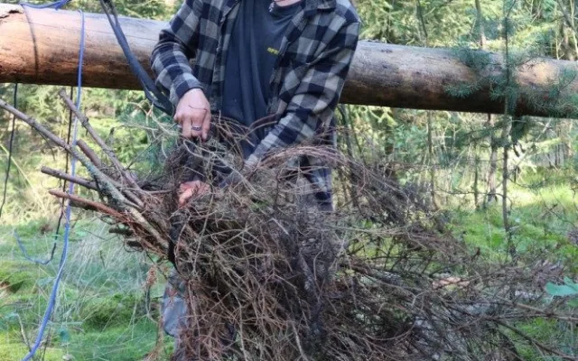 Příprava hnízda na zemi