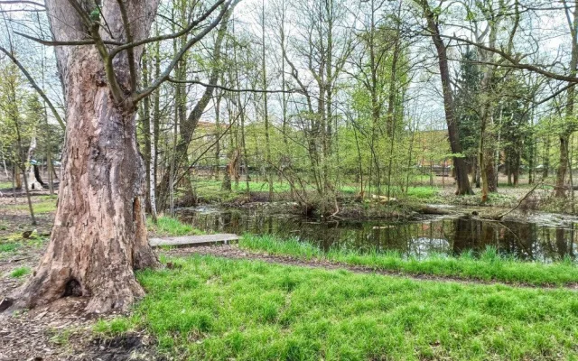 Dříve zpustlý Papírenský park projde proměnou, lidé se budou moci seznámit s návrhem revitalizace