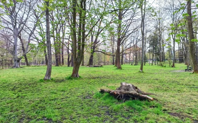 Dříve zpustlý Papírenský park projde proměnou, lidé se budou moci seznámit s návrhem revitalizace