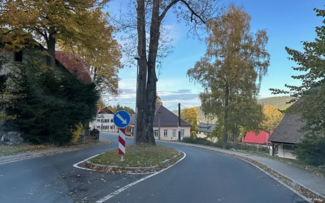 Uprostřed šumavské silnice vyrůstá z ostrůvku chráněný jasan, který nelze pokácet. Některým řidičům to vadí
