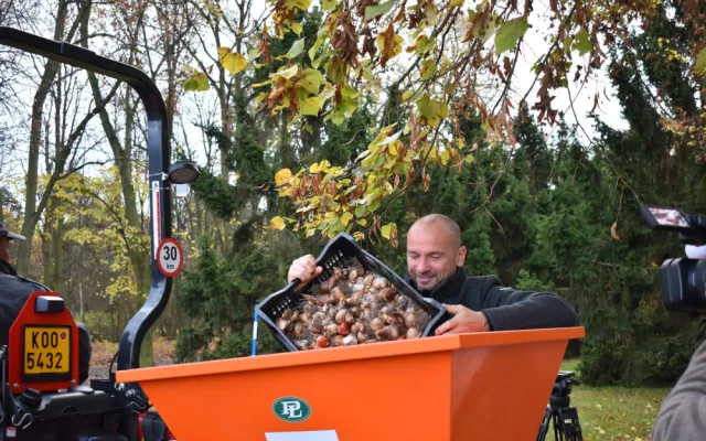 Zahradníci vysázeli v největším městském parku tisíce tulipánů, narcisů a krokusů