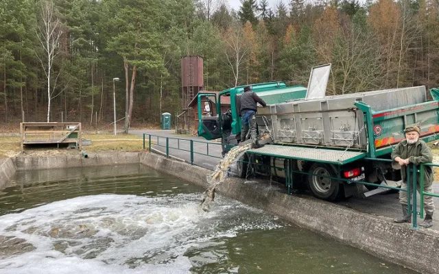Městští rybáři o víkendu vyloví Drahotínský rybník, kilo kapra vyjde na 120 korun