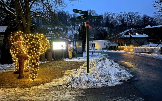 Zoo Plzeň získala svého prvního slona. Je absolutně nenáročný na chov a navíc i krásně svítí