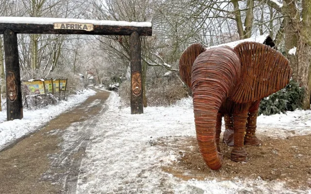 Zoo Plzeň získala svého prvního slona. Je absolutně nenáročný na chov a navíc i krásně svítí