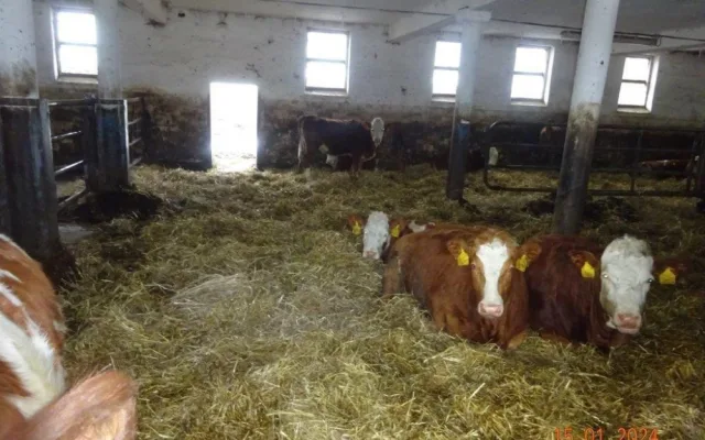 Veterináři provedli v pondělí v chovu mimořádnou kontrolu, vše ale bylo v pořádku.