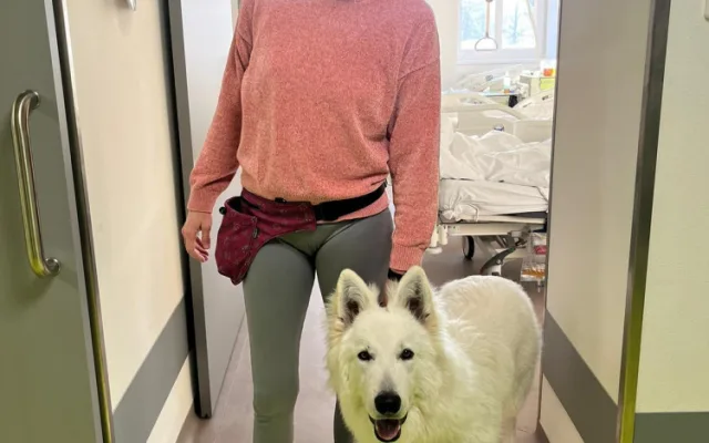 Švýcarský ovčák Amor miluje lidi a je teď tím nejočekávanějším návštěvníkem Stodské nemocnice