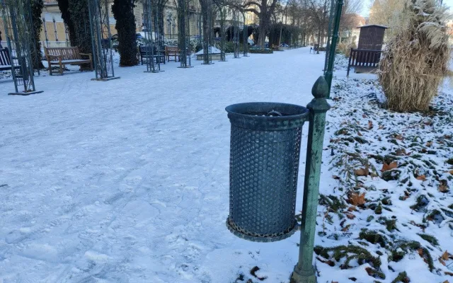 Koše v sadovém okruhu projdou výměnou.